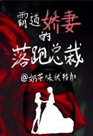 [女攻]霸道嬌妻的落跑總裁