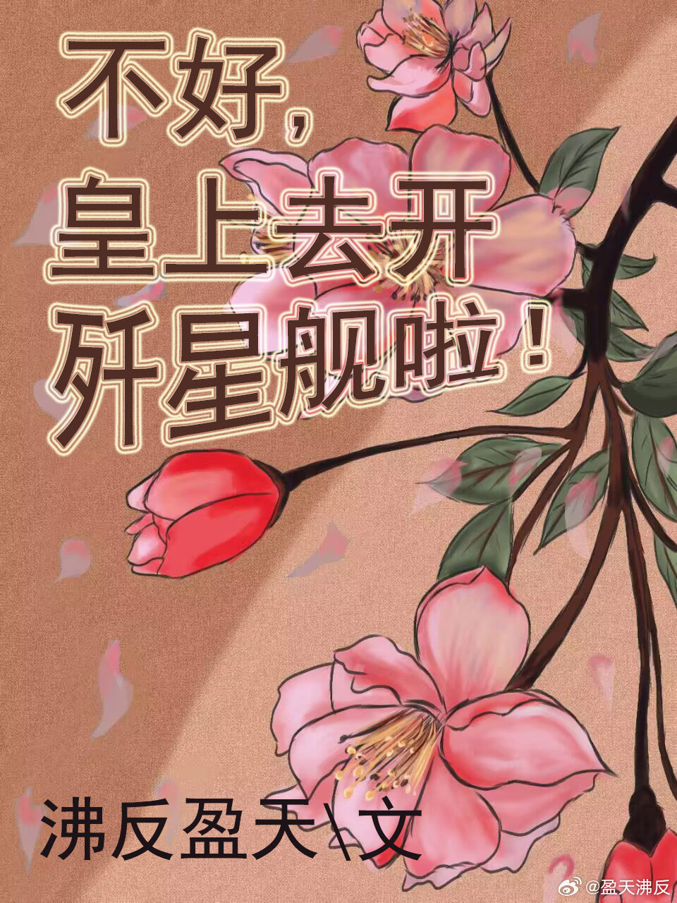 不好，皇上去開殲星艦啦