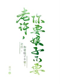 老許，你要娘子不要