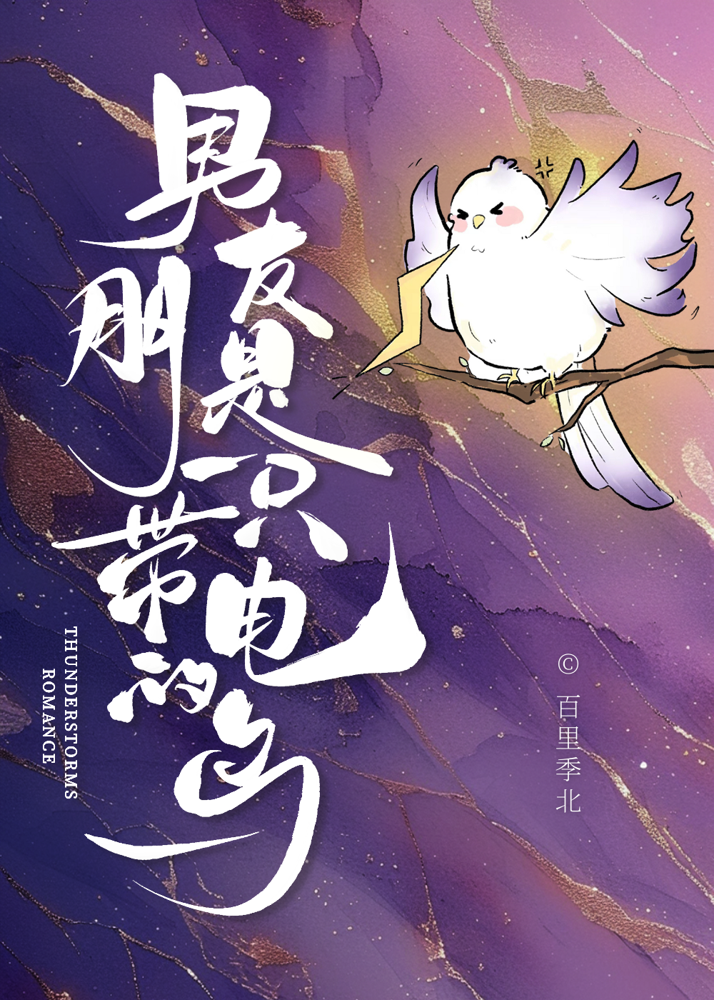 男朋友是一隻帶電的鳥