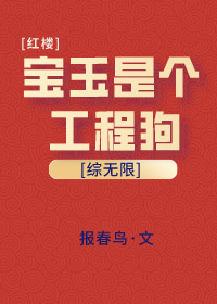 寶玉是個工程狗[綜無限]