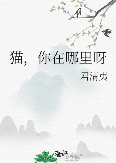 貓，你在哪裡呀