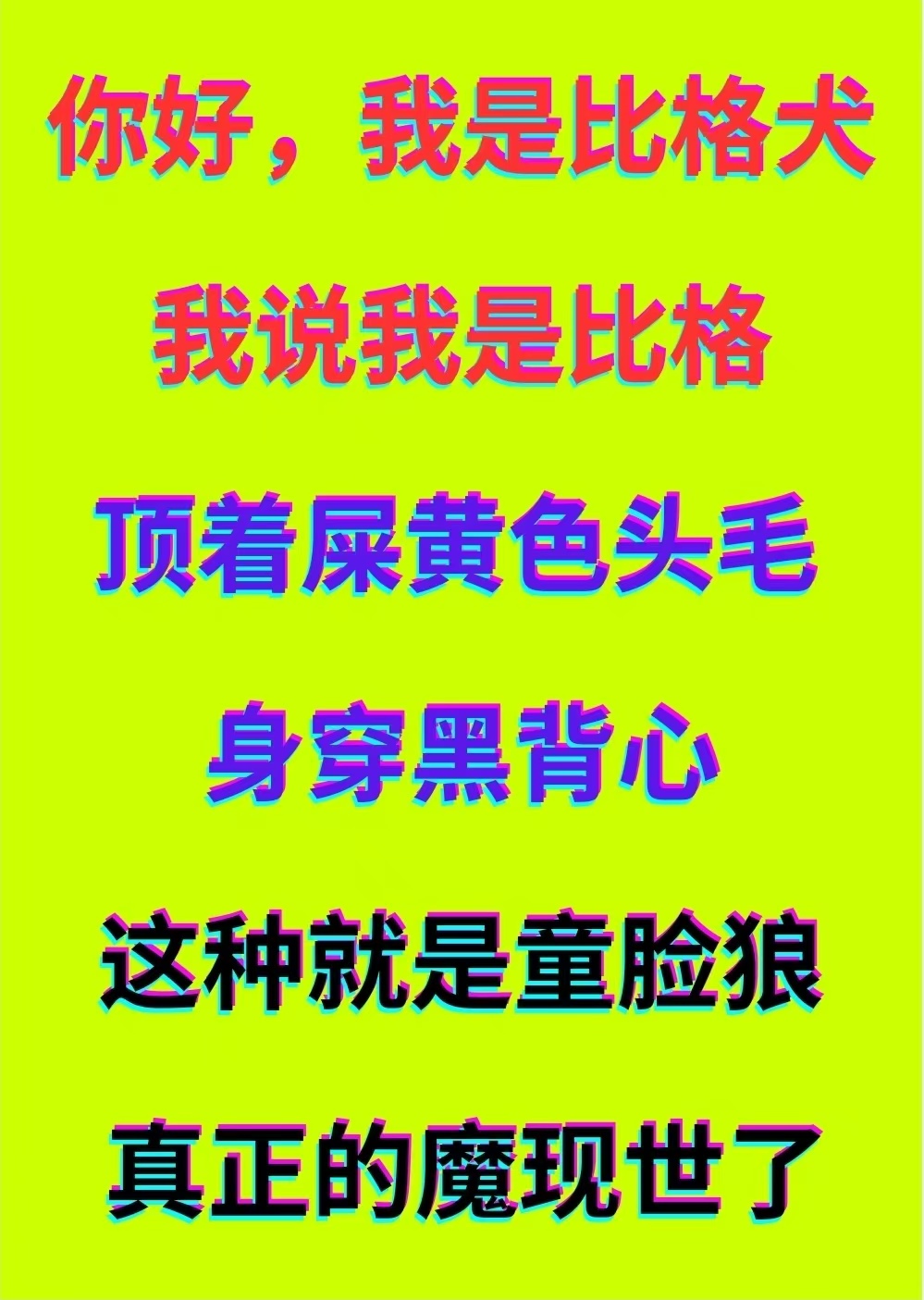 這種屎黃色的比格最有心機了