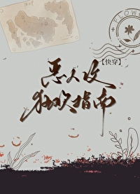 惡人攻狂歡指南[快穿]