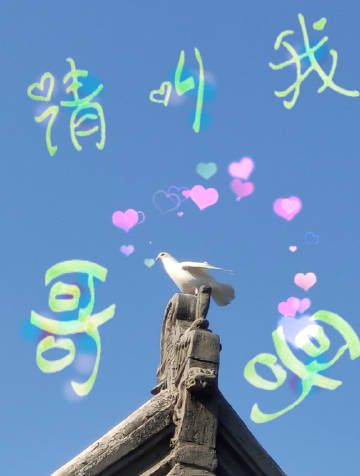 請叫我哥哥
