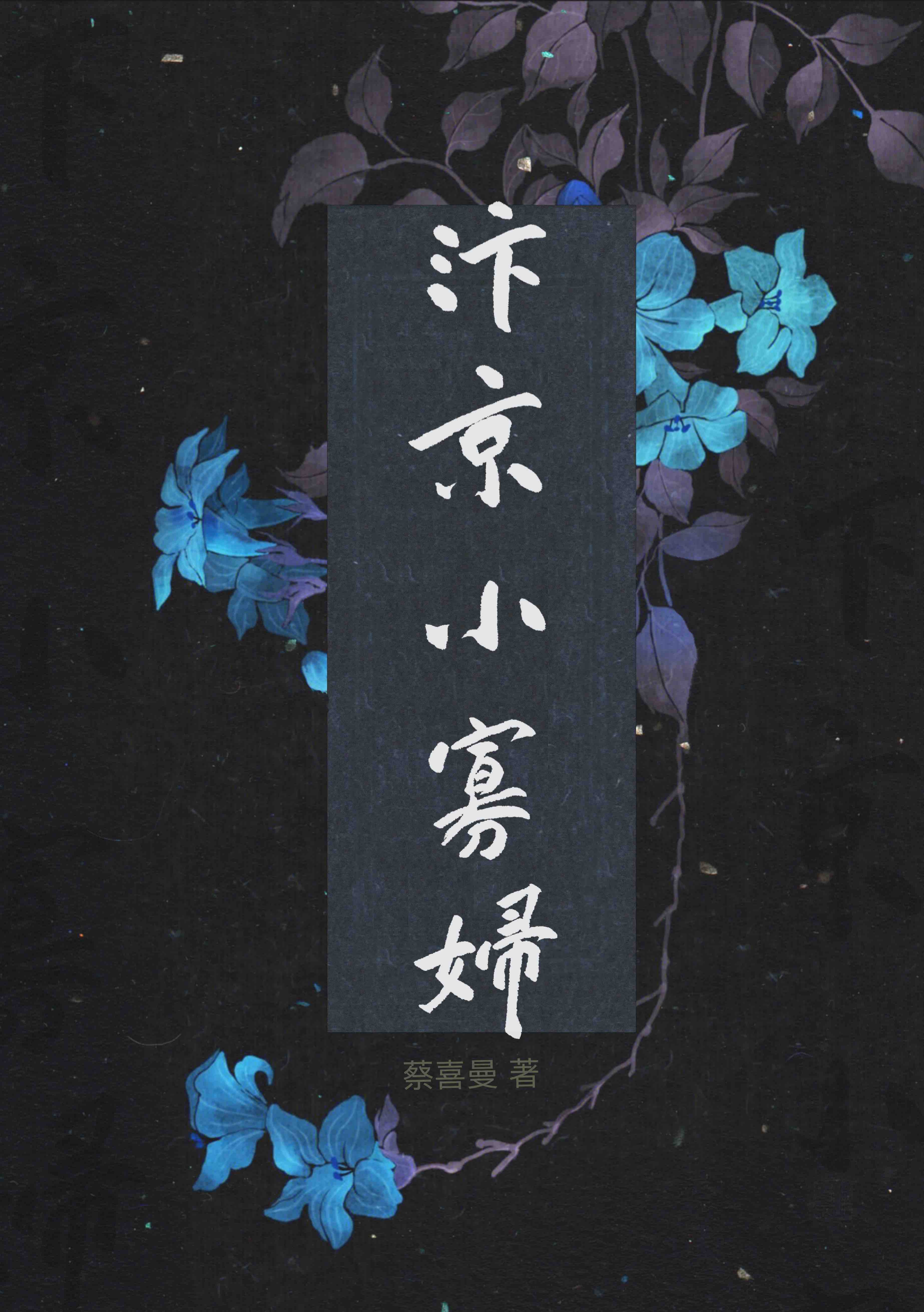 汴京小寡婦