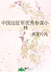 中國遠征軍優秀參謀小林