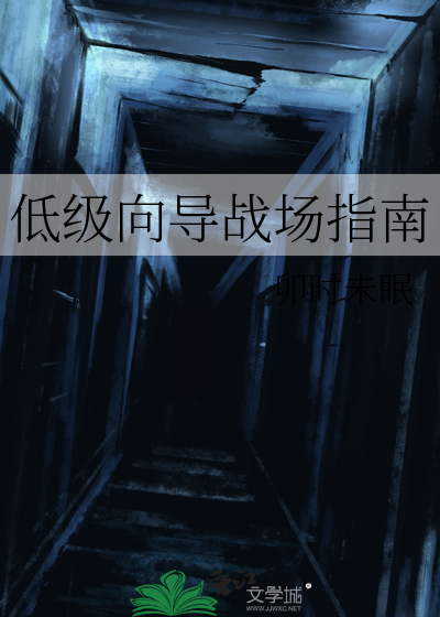 低級向導戰場指南
