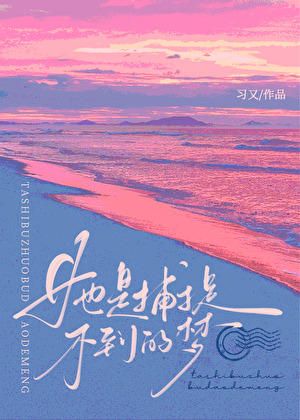 她是捕捉不到的夢